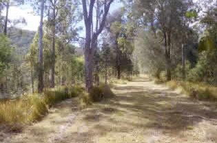 Toms Creek Retreat - Holiday Jervis Bay 1