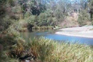 Toms Creek Retreat - Holiday Jervis Bay 4