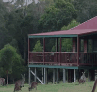 Walpole Wilderness Resort - Holiday Jervis Bay