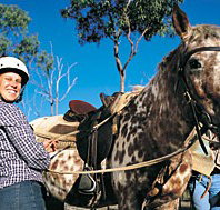 Kroombit Park At Lochenbar Station - Holiday Jervis Bay