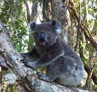 O'Carrollyns At One Mile Beach - Holiday Jervis Bay