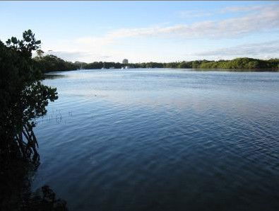 Calico Court Motel - Holiday Jervis Bay 1