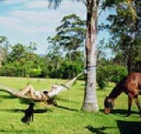 Neds Bed Horse O Tel - Holiday Jervis Bay