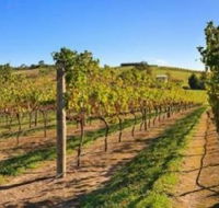 DeVine Escape - Holiday Jervis Bay