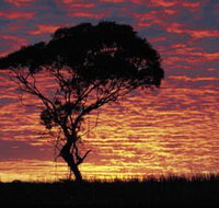 Kimba Caravan Park amp Motel - Holiday Jervis Bay