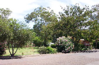 Colonial Inn Tamworth - Holiday Jervis Bay 4