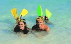 Adventure Island Whitsundays (south Molle Island) - Holiday Jervis Bay 5