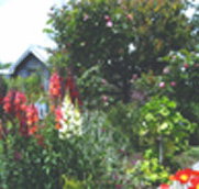 Hopfield Country Cottages