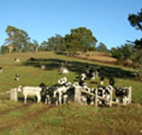 St Columba Cottage - Holiday Jervis Bay