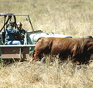 Bullo River Station - Holiday Jervis Bay