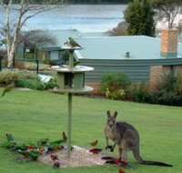 Gipsy Point Lakeside