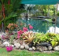 Daintree Wild Bed And Breakfast - Holiday Jervis Bay