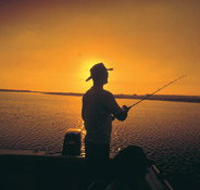 Point Stuart Wilderness Lodge - Holiday Jervis Bay
