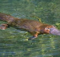 Eilean Donan Gardens - Holiday Jervis Bay