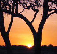 Coodardie Station Stay - Holiday Jervis Bay