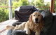 Ant's Halls Gap Holiday House - thumb 7