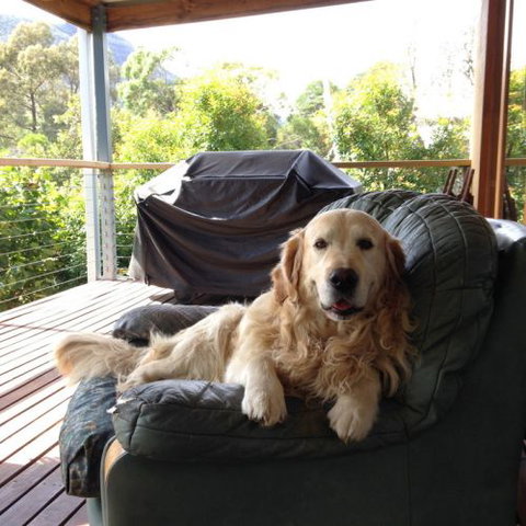 Ant's Halls Gap Holiday House - Holiday Jervis Bay 7