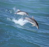 Seachange - Holiday Jervis Bay