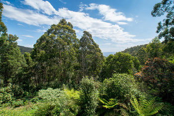 A Camelot Tower & Penthouse - Holiday Jervis Bay 46