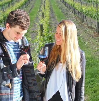 Valley Farm Vineyard Cottages - Holiday Jervis Bay 0