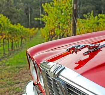 Valley Farm Vineyard Cottages - Holiday Jervis Bay 1