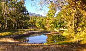 Valley Farm Vineyard Cottages - Holiday Jervis Bay 3