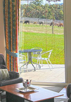 Valley Farm Vineyard Cottages - Holiday Jervis Bay 9