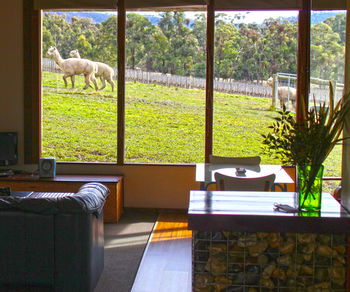 Valley Farm Vineyard Cottages - Holiday Jervis Bay 17