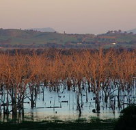 Salisbury - Holiday Jervis Bay