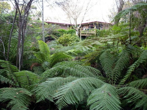 Adelaide Hills Bed & Breakfast Accommodation - Holiday Jervis Bay 3