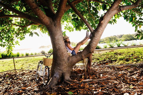 Calypso Holiday Park Yamba - Holiday Jervis Bay 1