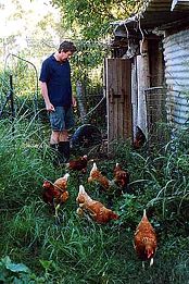 Lagoon Pocket Bed & Breakfast - Holiday Jervis Bay 1