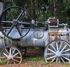 Dingo Tops campground - Holiday Jervis Bay