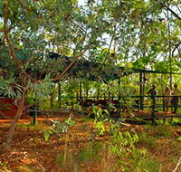 Arnhemland Barramundi Nature Lodge - Holiday Jervis Bay
