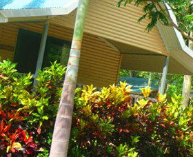 Litchfield Tourist Park - Holiday Jervis Bay 4
