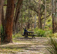 Koreelah Creek campground - Holiday Jervis Bay