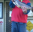 Rainbow Pines Tourist Caravan Park - Holiday Jervis Bay