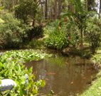 Tallowood Ridge B and B - Holiday Jervis Bay
