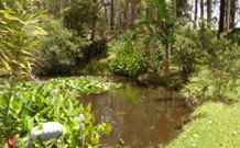 Tallowood Ridge B And B - Holiday Jervis Bay 0