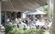Avoca Beach Hotel And Resort - thumb 5