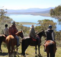 Reynella Homestead and Horseback Rides - Holiday Jervis Bay