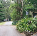 Tamborine Mountain Caravan  Camping - Holiday Jervis Bay