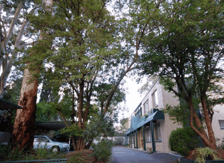 Adelaide Oakford Apartments - Holiday Jervis Bay 0