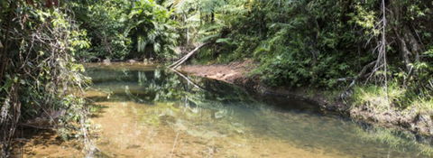 Mission Reef Resort - Holiday Jervis Bay 4