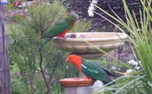 Valley View Motel Murrurundi - Murrurundi - Holiday Jervis Bay 4