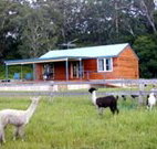 Moorallie Cottage Farm Stay - Holiday Jervis Bay