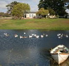 Old Redbank Farm Holiday