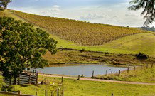 Sanctuary Hill Retreat - Holiday Jervis Bay 0
