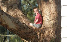 Leslie Cottage - Holiday Jervis Bay 7