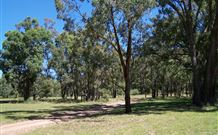Lake Tabourie Holiday Park - Holiday Jervis Bay 6